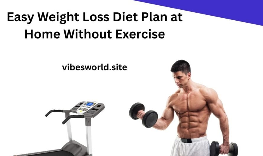 Easy Weight Loss Diet Plan at Home Without Exercise