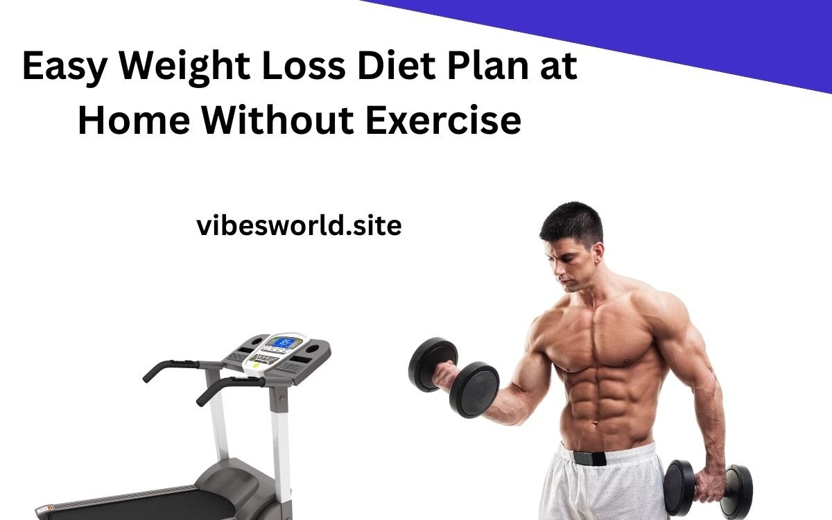 Easy Weight Loss Diet Plan at Home Without Exercise